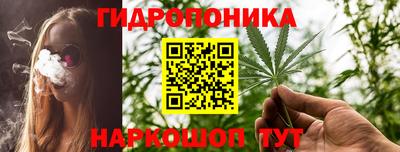 прущие крисы Можга